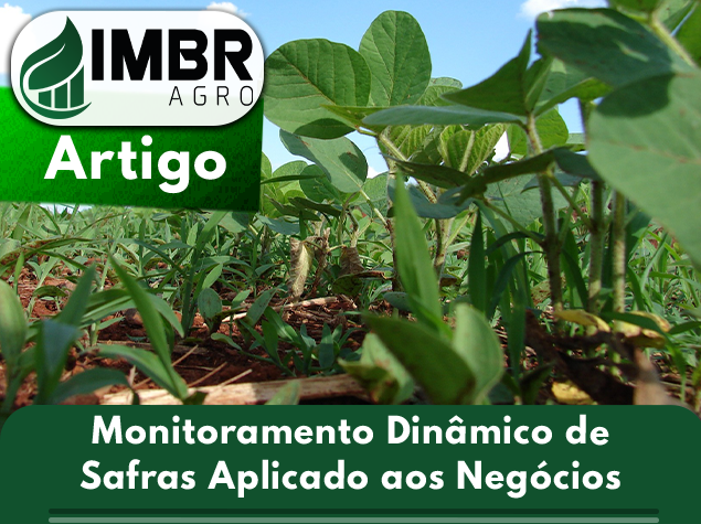 Monitoramento Dinâmico de Safras Aplicado aos Negócios